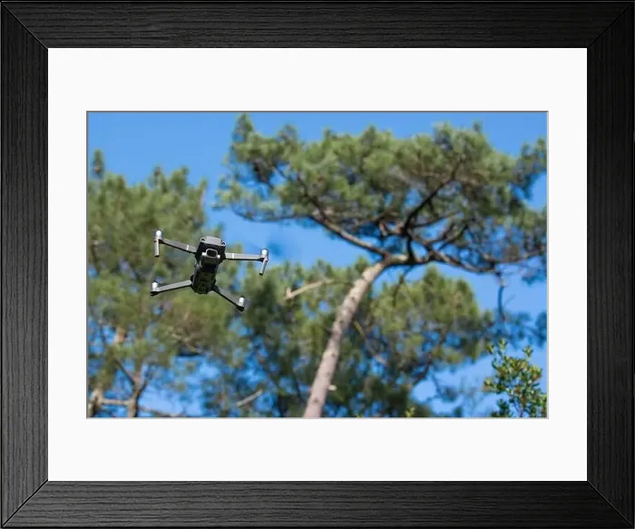 Framed Print : Piloting drone in the forest in the morning with clear blue sky Framed Print : Piloting drone in the forest in the morning with clear blue sky
