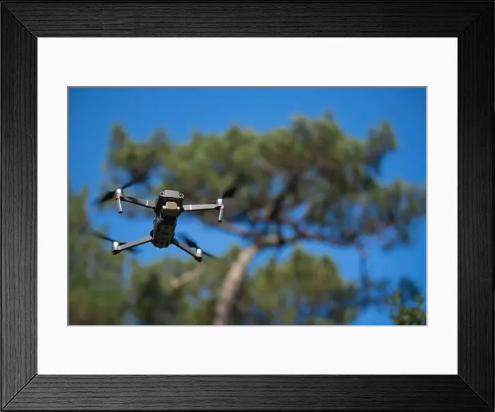 Framed Print : Piloting drone in the forest in the morning with clear blue sky Framed Print : Piloting drone in the forest in the morning with clear blue sky