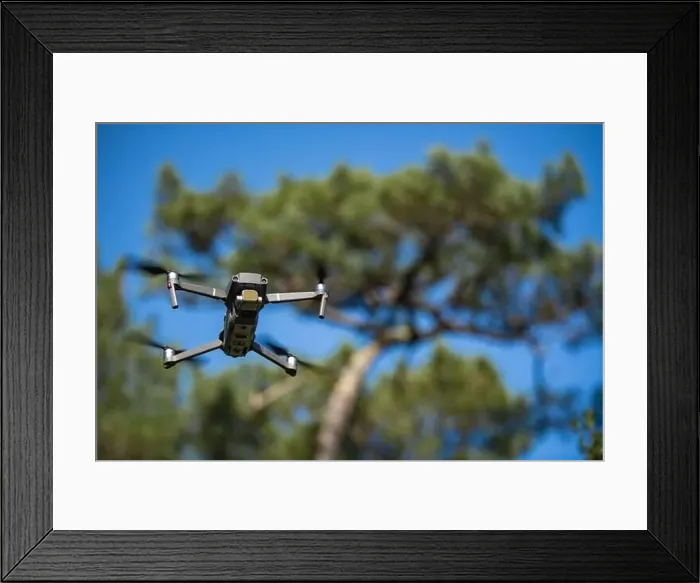 Framed Print : Piloting drone in the forest in the morning with clear blue sky Framed Print : Piloting drone in the forest in the morning with clear blue sky