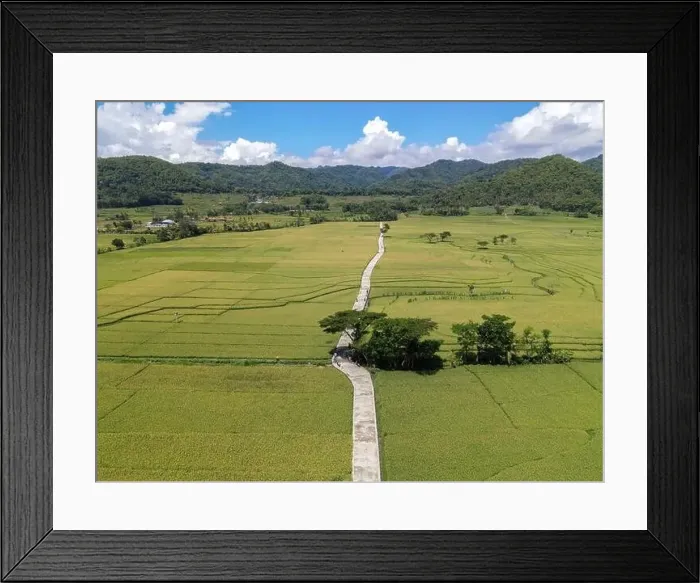 Framed Print : Aerial view of rice field with road in Pronosutan View, Kulon Progo, Yogyakarta Framed Print : Aerial view of rice field with road in Pronosutan View, Kulon Progo, Yogyakarta