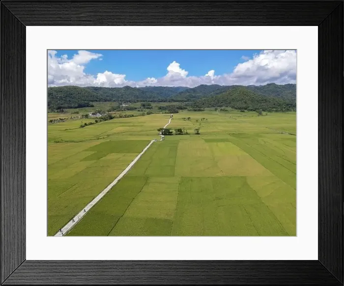 Framed Print : Aerial view of rice field with road in Pronosutan View, Kulon Progo, Yogyakarta Framed Print : Aerial view of rice field with road in Pronosutan View, Kulon Progo, Yogyakarta