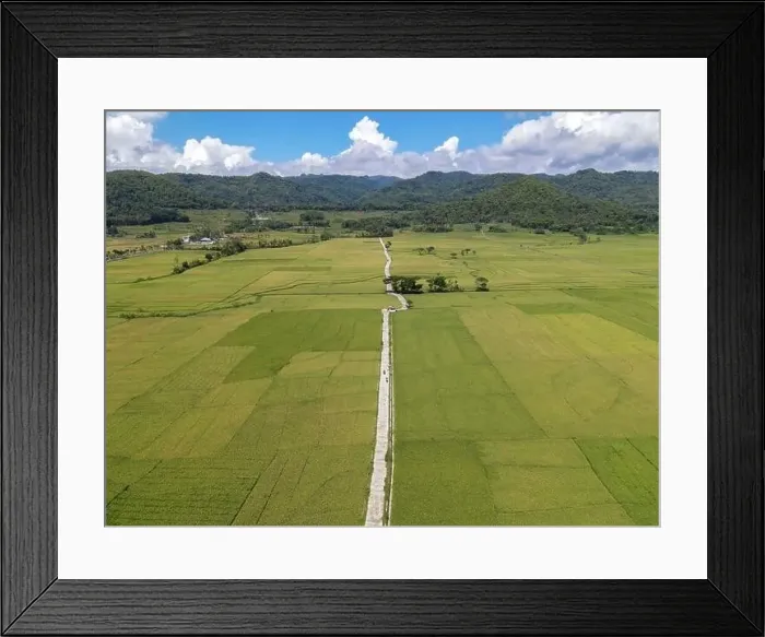 Framed Print : Aerial view of rice field with road in Pronosutan View, Kulon Progo, Yogyakarta Framed Print : Aerial view of rice field with road in Pronosutan View, Kulon Progo, Yogyakarta