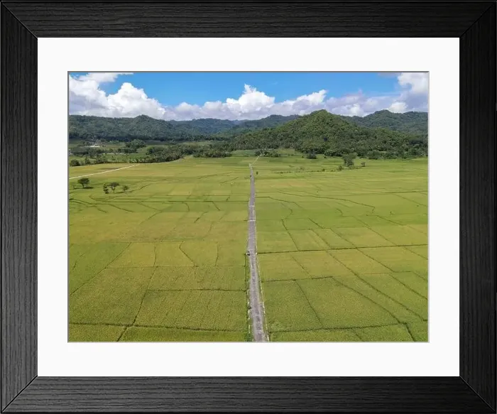 Framed Print : Aerial view of rice field with road in Pronosutan View, Kulon Progo, Yogyakarta Framed Print : Aerial view of rice field with road in Pronosutan View, Kulon Progo, Yogyakarta