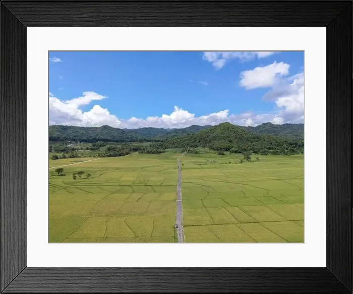 Framed Print : Aerial view of rice field with road in Pronosutan View, Kulon Progo, Yogyakarta Framed Print : Aerial view of rice field with road in Pronosutan View, Kulon Progo, Yogyakarta