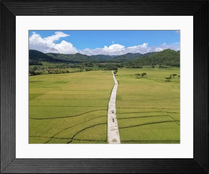 Framed Print : Aerial view of rice field with road in Pronosutan View, Kulon Progo, Yogyakarta Framed Print : Aerial view of rice field with road in Pronosutan View, Kulon Progo, Yogyakarta