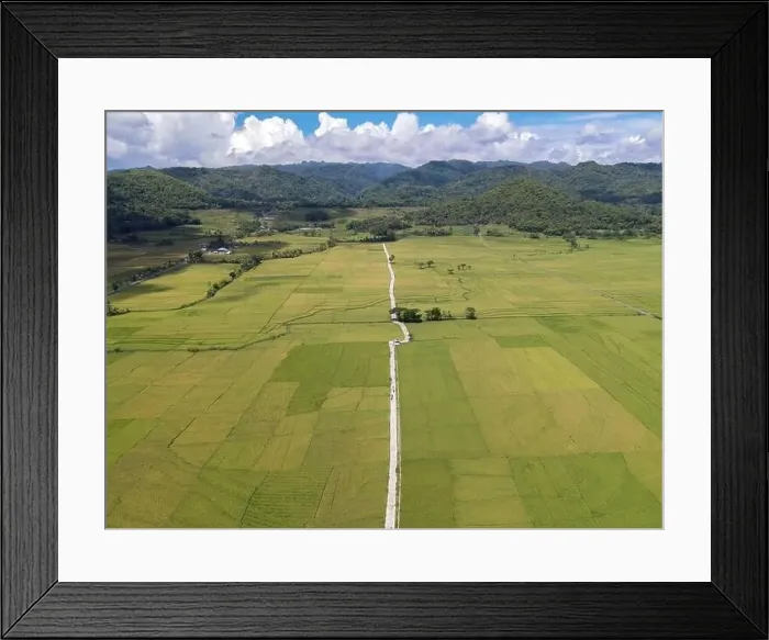 Framed Print : Aerial view of rice field with road in Pronosutan View, Kulon Progo, Yogyakarta Framed Print : Aerial view of rice field with road in Pronosutan View, Kulon Progo, Yogyakarta