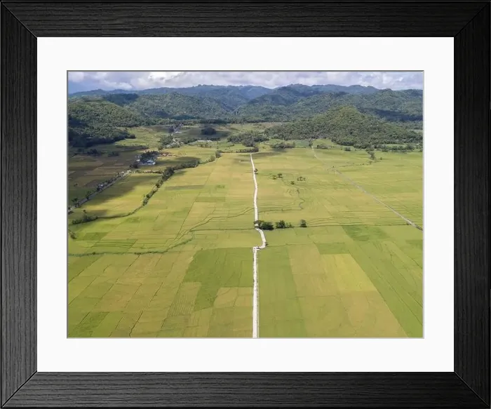Framed Print : Aerial view of rice field with road in Pronosutan View, Kulon Progo, Yogyakarta Framed Print : Aerial view of rice field with road in Pronosutan View, Kulon Progo, Yogyakarta