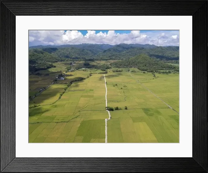 Framed Print : Aerial view of rice field with road in Pronosutan View, Kulon Progo, Yogyakarta Framed Print : Aerial view of rice field with road in Pronosutan View, Kulon Progo, Yogyakarta