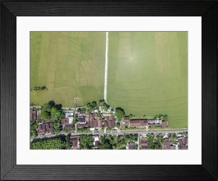 Framed Print : Aerial top view of rice field with road in Pronosutan View, Kulon Progo, Yogyakarta Framed Print : Aerial top view of rice field with road in Pronosutan View, Kulon Progo, Yogyakarta