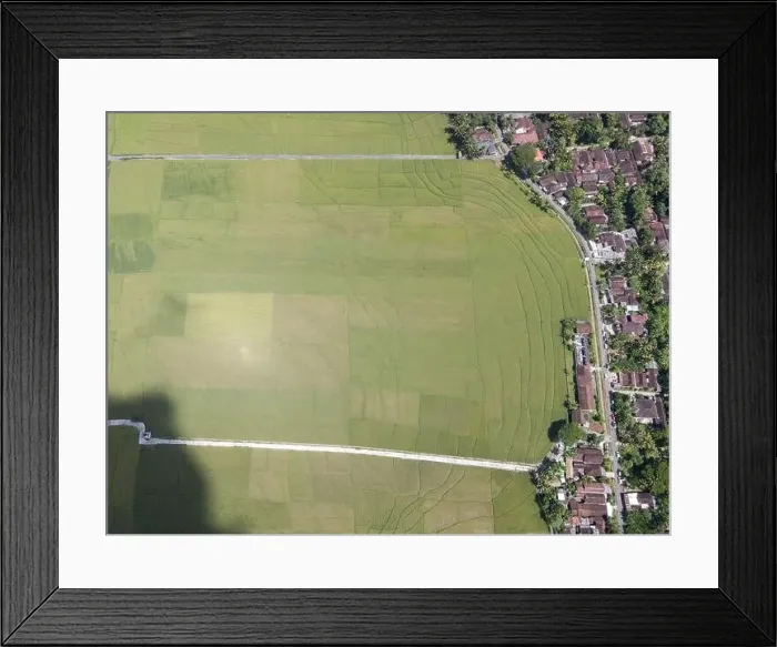 Framed Print : Aerial top view of rice field with road in Pronosutan View, Kulon Progo, Yogyakarta Framed Print : Aerial top view of rice field with road in Pronosutan View, Kulon Progo, Yogyakarta