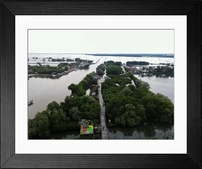Framed Print : Aerial view of fisherman village and mangrove forest in rainy season. Bekasi, Indonesia, March 9, 2021 Framed Print : Aerial view of fisherman village and mangrove forest in rainy season. Bekasi, Indonesia, March 9, 2021
