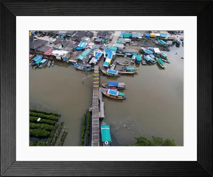 Framed Print : Aerial view of fisherman village and mangrove forest in rainy season. Bekasi, Indonesia, March 9, 2021 Framed Print : Aerial view of fisherman village and mangrove forest in rainy season. Bekasi, Indonesia, March 9, 2021