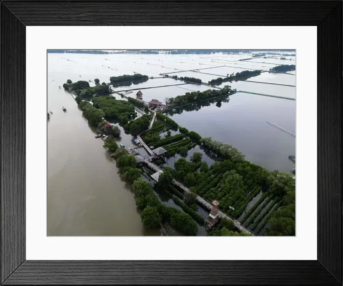 Framed Print : Aerial view of fisherman village and mangrove forest in rainy season. Bekasi, Indonesia, March 9, 2021 Framed Print : Aerial view of fisherman village and mangrove forest in rainy season. Bekasi, Indonesia, March 9, 2021