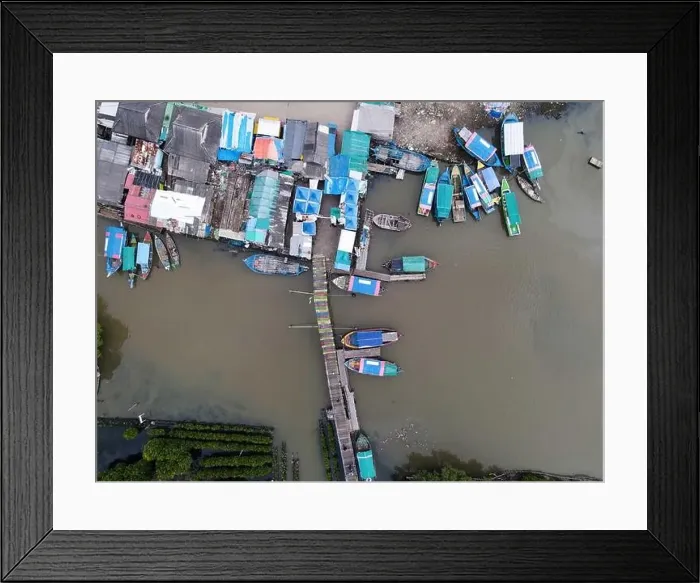 Framed Print : Aerial view of fisherman village and mangrove forest in rainy season. Bekasi, Indonesia, March 9, 2021 Framed Print : Aerial view of fisherman village and mangrove forest in rainy season. Bekasi, Indonesia, March 9, 2021