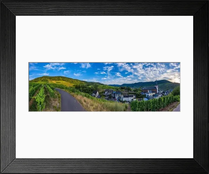 Framed Print : Panoramic view of the Moselle vineyards near Bruttig-Fankel Framed Print : Panoramic view of the Moselle vineyards near Bruttig-Fankel