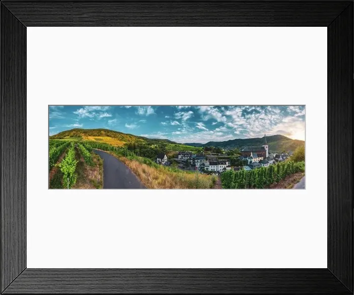 Framed Print : Panoramic view of the Moselle vineyards near Bruttig-Fankel Framed Print : Panoramic view of the Moselle vineyards near Bruttig-Fankel