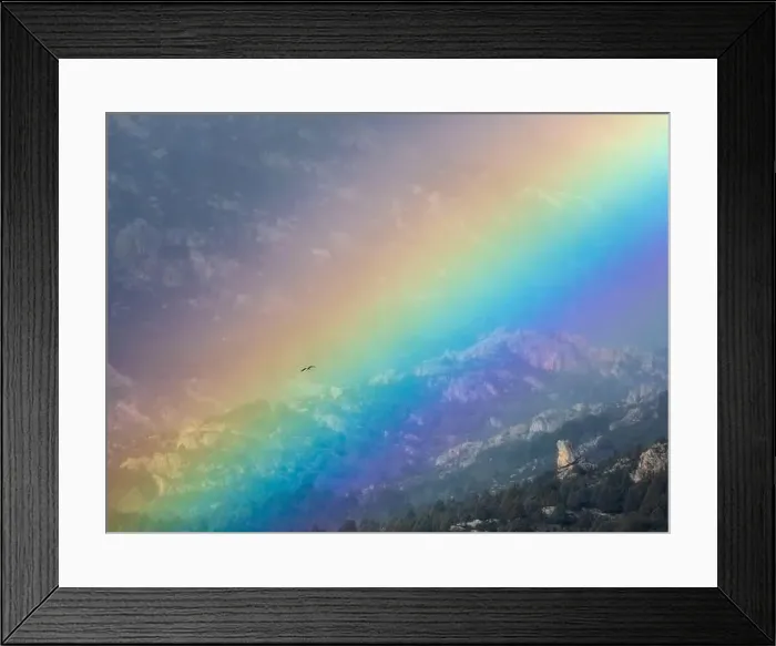 Framed Print : Bird flying through vivid rainbow on cloudy sky over mountain ridge Framed Print : Bird flying through vivid rainbow on cloudy sky over mountain ridge