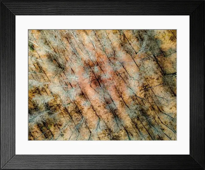 Framed Print : Aerial view of the forest of Touraine in winter, Loire Valley, France Framed Print : Aerial view of the forest of Touraine in winter, Loire Valley, France