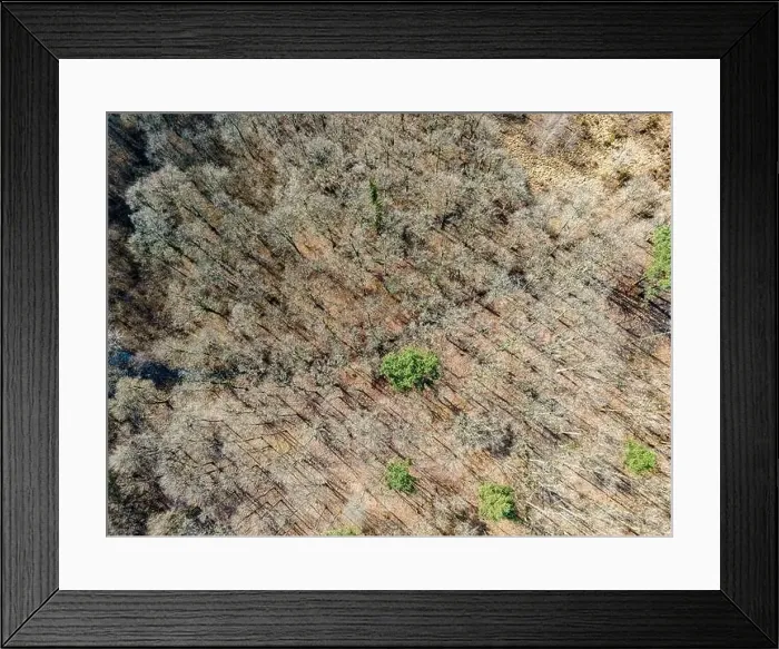 Framed Print : Aerial view of the forest of Touraine in winter, Loire Valley, France Framed Print : Aerial view of the forest of Touraine in winter, Loire Valley, France