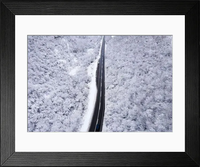 Framed Print : High angle aerial view drone image on the road trough the trees Framed Print : High angle aerial view drone image on the road trough the trees