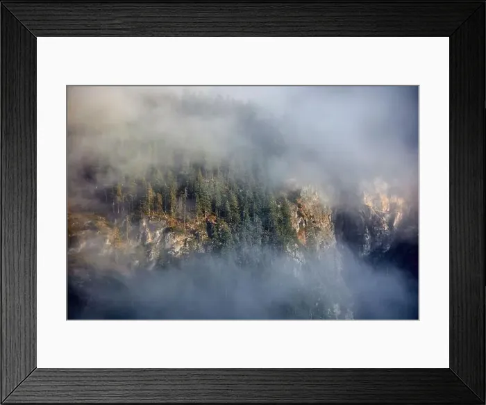 Framed Print : a beautiful landscape of fog in a forest Framed Print : a beautiful landscape of fog in a forest