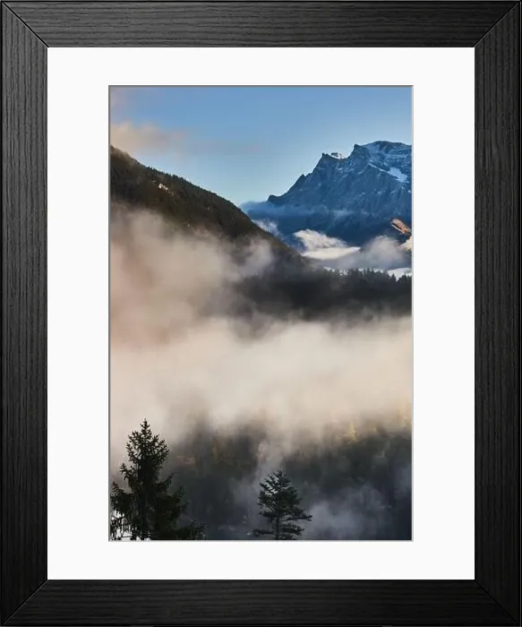 Framed Print : a beautiful landscape of fog in a forest Framed Print : a beautiful landscape of fog in a forest