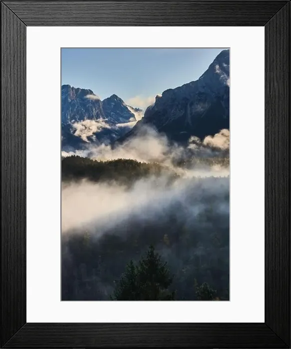 Framed Print : a beautiful landscape of fog in a forest Framed Print : a beautiful landscape of fog in a forest