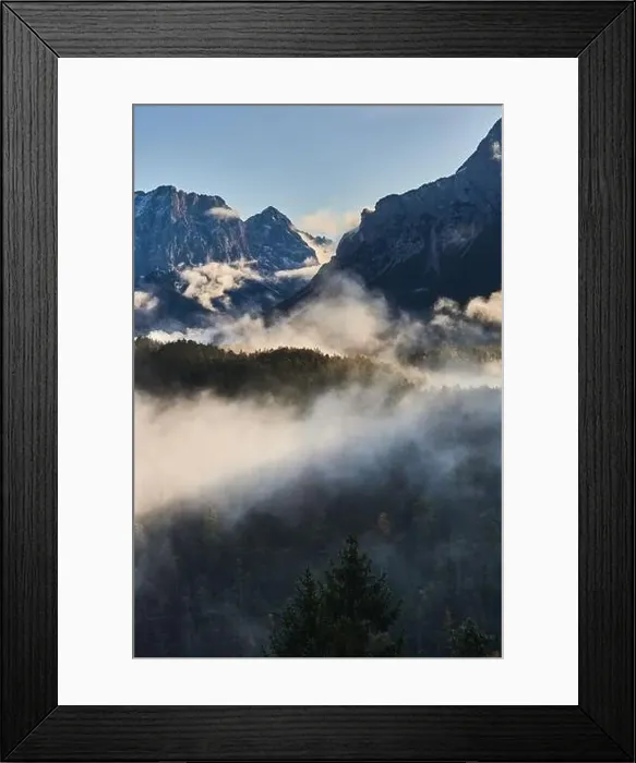 Framed Print : a beautiful landscape of fog in a forest Framed Print : a beautiful landscape of fog in a forest