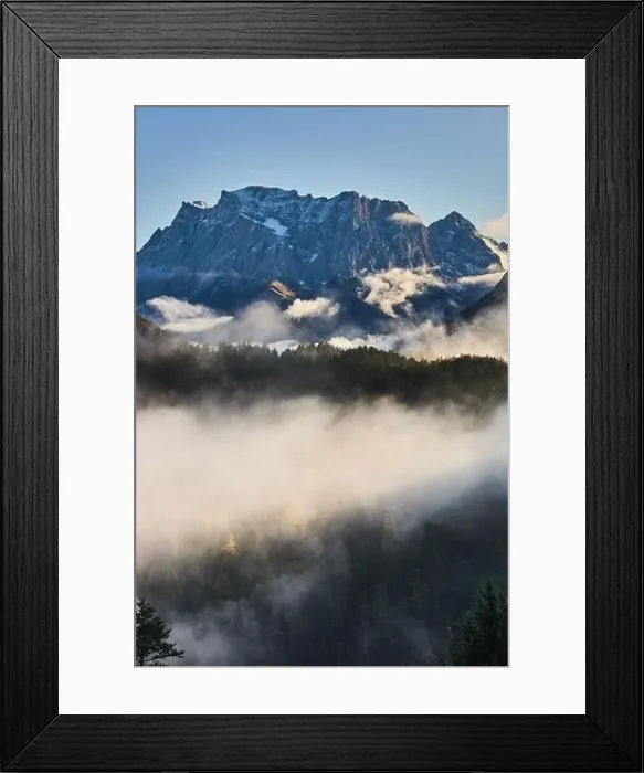 Framed Print : a beautiful landscape of fog in a forest Framed Print : a beautiful landscape of fog in a forest