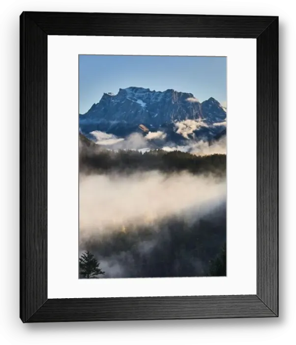 Framed Print : a beautiful landscape of fog in a forest Framed Print : a beautiful landscape of fog in a forest