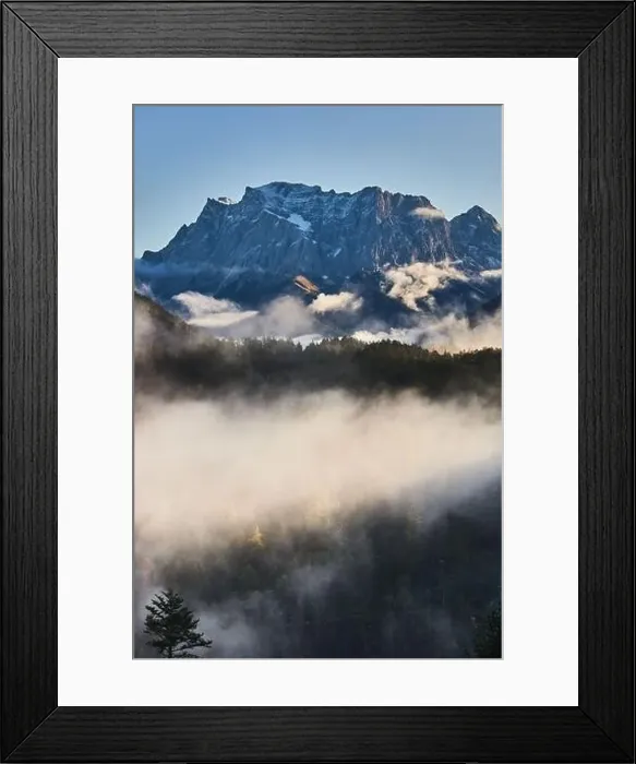 Framed Print : a beautiful landscape of fog in a forest Framed Print : a beautiful landscape of fog in a forest
