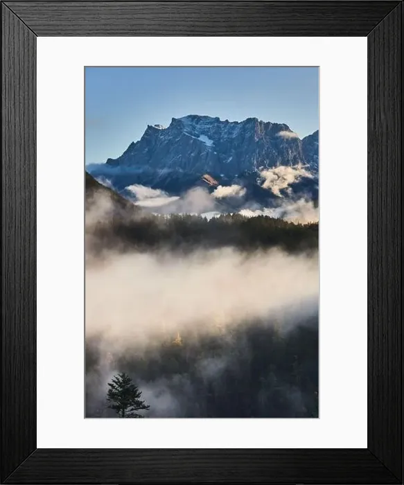Framed Print : a beautiful landscape of fog in a forest Framed Print : a beautiful landscape of fog in a forest