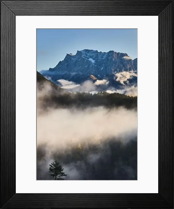 Framed Print : a beautiful landscape of fog in a forest Framed Print : a beautiful landscape of fog in a forest