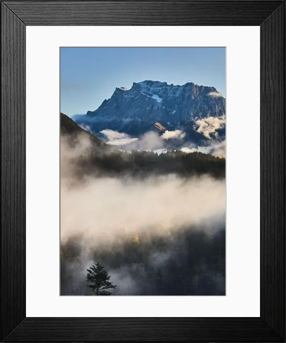 Framed Print : a beautiful landscape of fog in a forest Framed Print : a beautiful landscape of fog in a forest