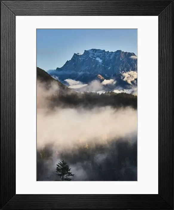 Framed Print : a beautiful landscape of fog in a forest Framed Print : a beautiful landscape of fog in a forest