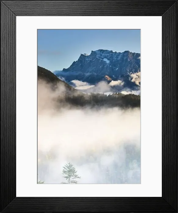 Framed Print : a beautiful landscape of fog in a forest Framed Print : a beautiful landscape of fog in a forest