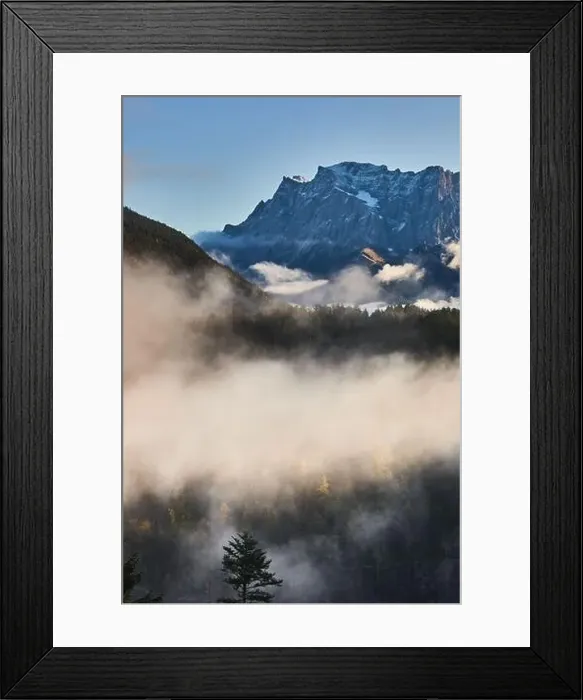 Framed Print : a beautiful landscape of fog in a forest Framed Print : a beautiful landscape of fog in a forest