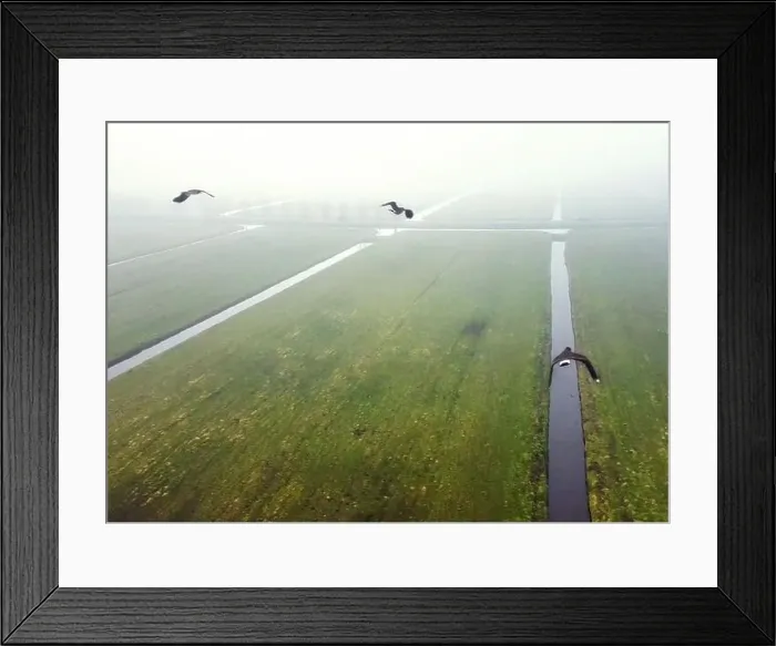 Framed Print : This is an image shot by Drone in the early morning in the polder Alblasserwaard in the Netherlands Framed Print : This is an image shot by Drone in the early morning in the polder Alblasserwaard in the Netherlands