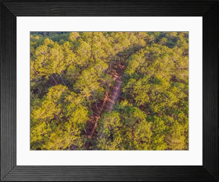 Framed Print : Empty road in a forest at early winter time. Aerial view from a drone looking down Framed Print : Empty road in a forest at early winter time. Aerial view from a drone looking down