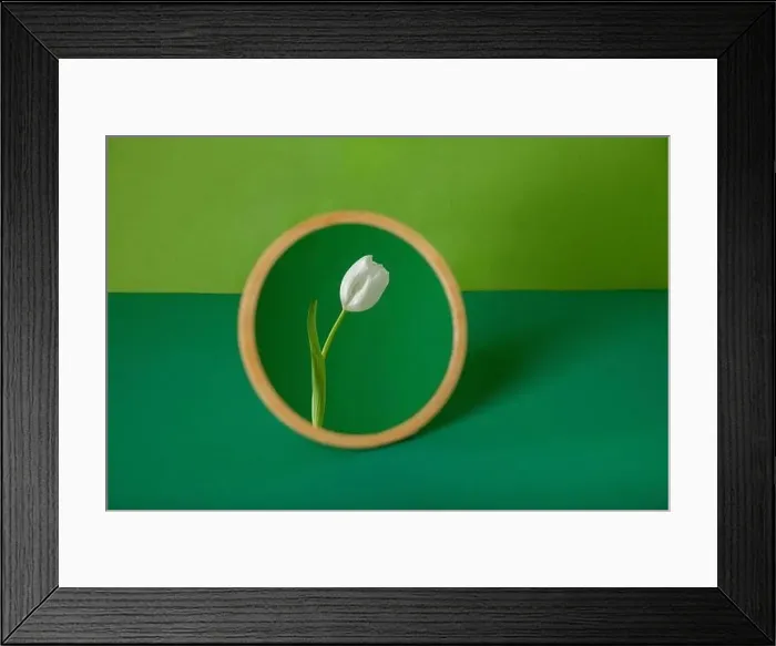 Framed Print : Round mirror with flower reflection against green background Framed Print : Round mirror with flower reflection against green background