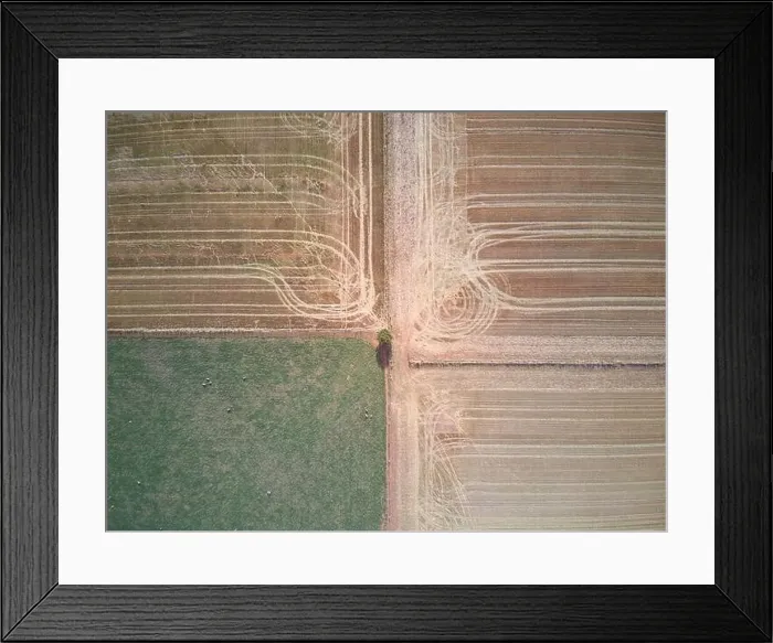 Framed Print : Aerial agriculture land, farming crops with patterns and tracks with a green and brown background, Victoria, Australia Framed Print : Aerial agriculture land, farming crops with patterns and tracks with a green and brown background, Victoria, Australia