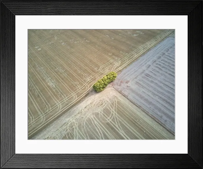 Framed Print : Aerial agriculture imagery and farming landscape, crop patterns and tracks with a brown background, Victoria, Australia Framed Print : Aerial agriculture imagery and farming landscape, crop patterns and tracks with a brown background, Victoria, Australia