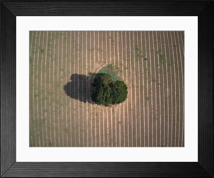 Framed Print : Aerial agriculture land and farming landscape Framed Print : Aerial agriculture land and farming landscape