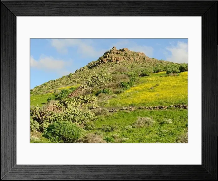 Framed Print : Landscape near Haria at Lanzarote on Canary island in Spain Framed Print : Landscape near Haria at Lanzarote on Canary island in Spain