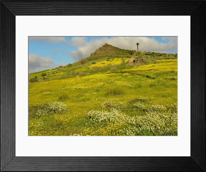 Framed Print : Landscape near Haria at Lanzarote on Canary island in Spain Framed Print : Landscape near Haria at Lanzarote on Canary island in Spain