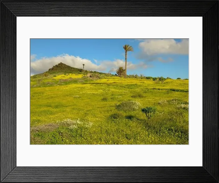 Framed Print : Landscape near Haria at Lanzarote on Canary island in Spain Framed Print : Landscape near Haria at Lanzarote on Canary island in Spain