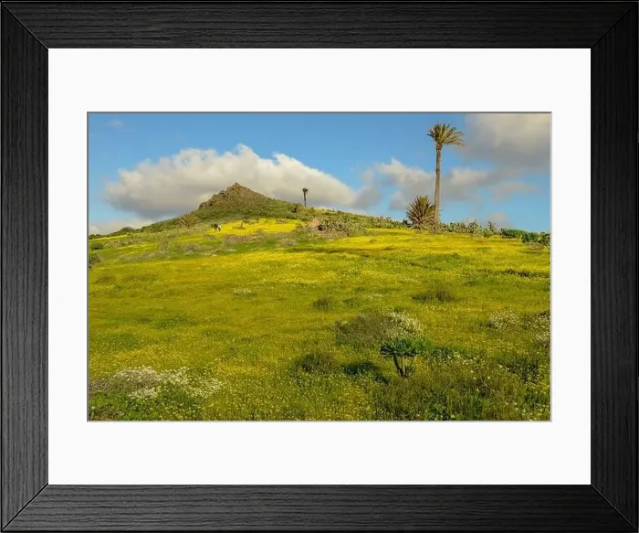 Framed Print : Landscape near Haria at Lanzarote on Canary island in Spain Framed Print : Landscape near Haria at Lanzarote on Canary island in Spain