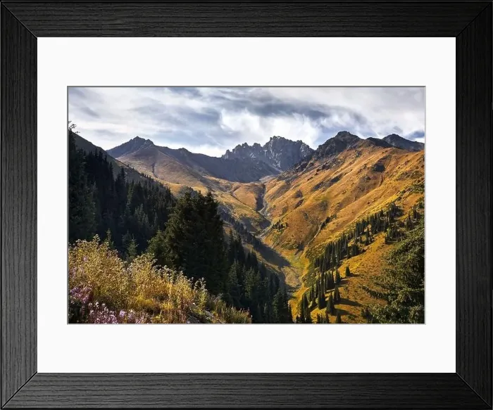 Framed Print : Aerial view of the mountain valley with lush forest and rocky peaks in Kazakhstan Framed Print : Aerial view of the mountain valley with lush forest and rocky peaks in Kazakhstan