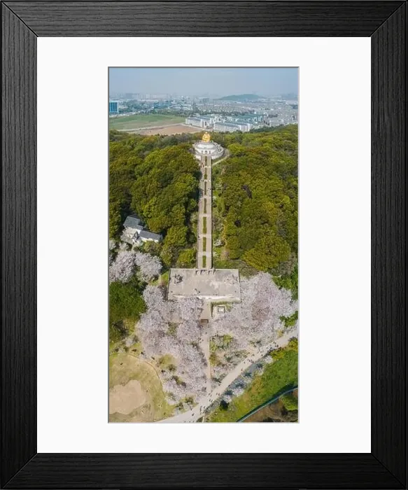 Framed Print : Aerial view of the golden big buddha in Shangfang Mountain in Suzhou, China Framed Print : Aerial view of the golden big buddha in Shangfang Mountain in Suzhou, China