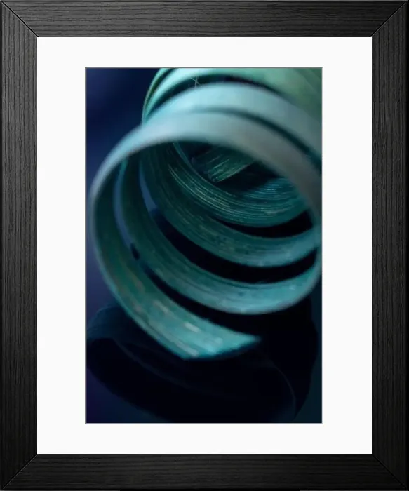 Framed Print : The twisted branch is vertical. A spiral of spherical abstract shape. Isolated on a blue background. Copy space Framed Print : The twisted branch is vertical. A spiral of spherical abstract shape. Isolated on a blue background. Copy space